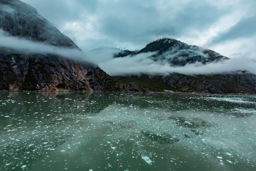 Icy water of the Endicott Arm Fjord in Alaska