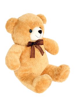 Image of toy teddy bear on white background