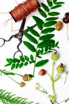 Herbarium applique with field of wild flowers and plants on white background