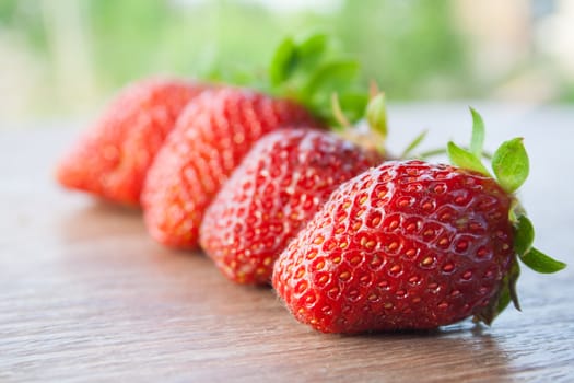 four strawberries in a row, focusing on the first