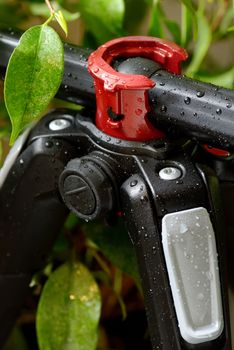 Professional macro tripod in nature
