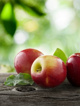 close up view of nice fresh apples on color background