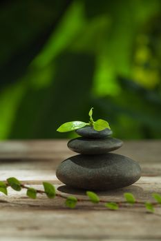 close up view of  gray stones  and leaf  on color back