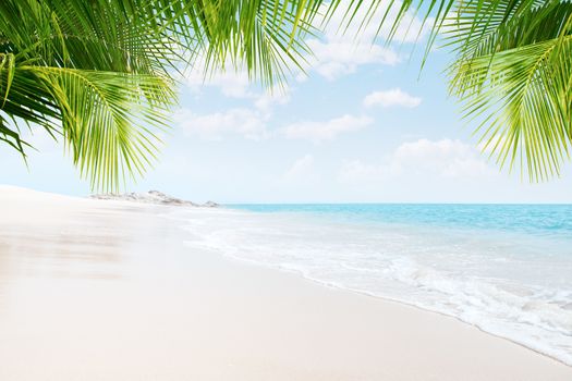 View of nice tropical beach with some palms