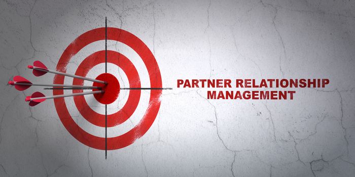 Success finance concept: arrows hitting the center of target, Red Partner Relationship Management on wall background, 3D rendering