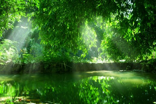 Mae Ya waterfall at Doi Inthanon National park in Chiang Mai Thailand