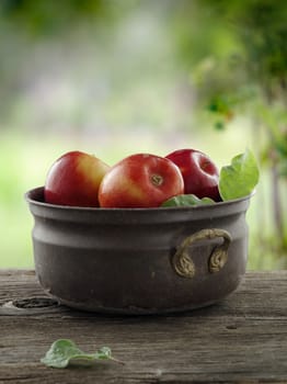 close up view of nice fresh apples on color background