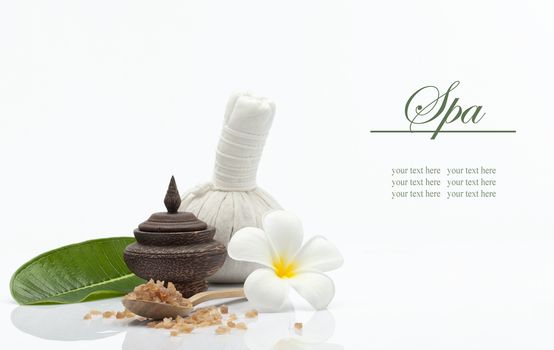 view of spa theme object on white background.