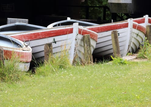 Line of rowing boats in water at grass field