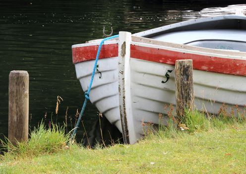 Rowing boat in water at grass field