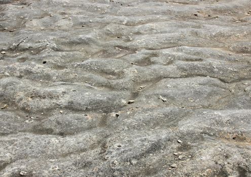 Petrified ocean bottom at island of Bornholm Denmark