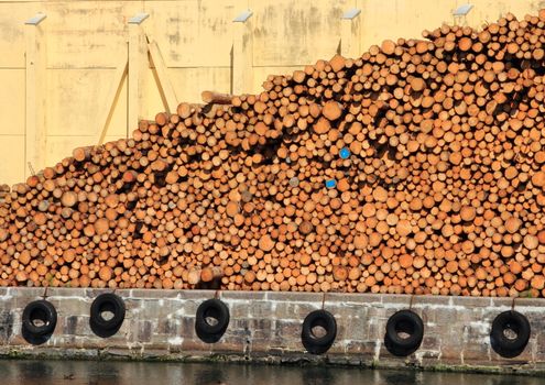 Pile of pinewood timber with building in background