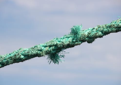 Green torn anchor rope with sky background