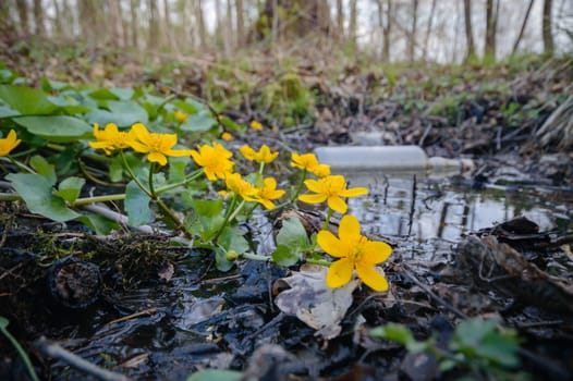 flowers as a colorful background, garbage, pollution, environment, nature series