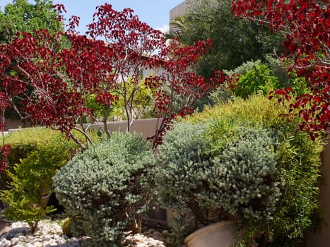 Beautiful classical Mediterranean garden with vibrant bright color plants