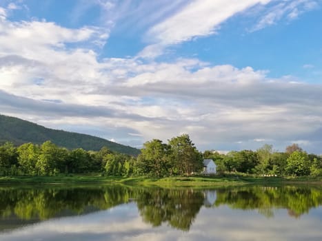 Reflection of natural tree and sky in a lake.