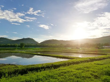 Sunset on spring field natural beauty with Mountain and Sky.