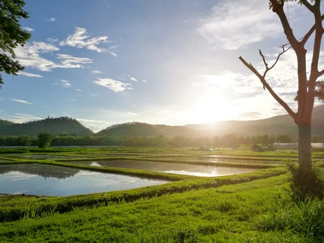 Sunset on spring field natural beauty with Mountain and Sky.