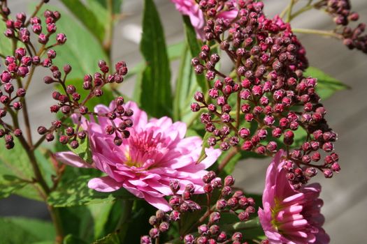 pink bouquet