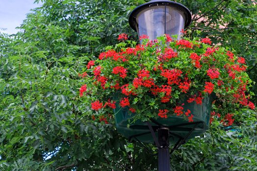 street lamp with hanging flower baskets