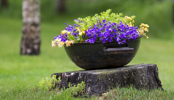Flowers in Pot on Stump with a tree in the background and green grass.