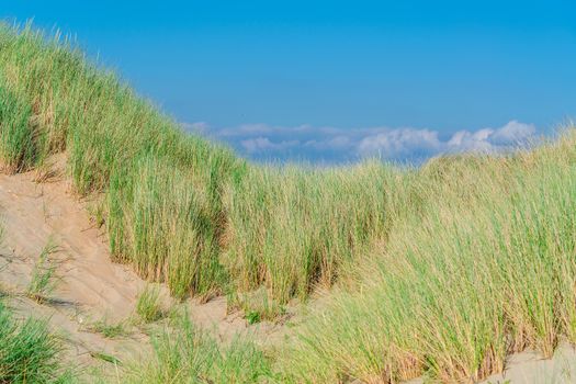 Landscape with beach overlooking the sea, sand dunes and grass, Ouddorp, North Sea, Holland.