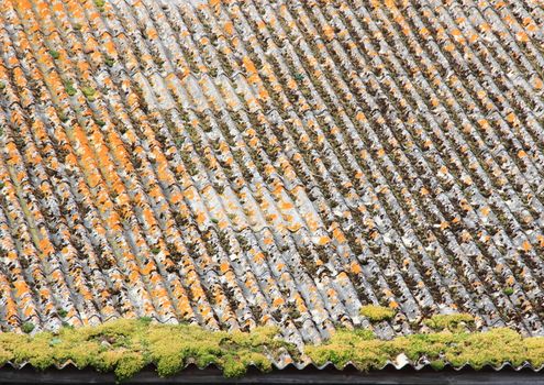 Old worn asbestos roof with alga