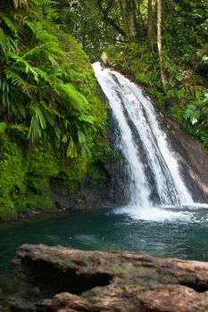 Cascades aux Ecrevisses,beautiful waterfall in a rainforest. Guadeloupe, Caribbean Islands, France