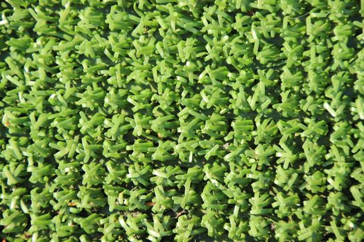 Artificial fake green plastic grass background