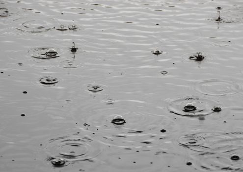 Summer rainfall with single raindrops on water surface