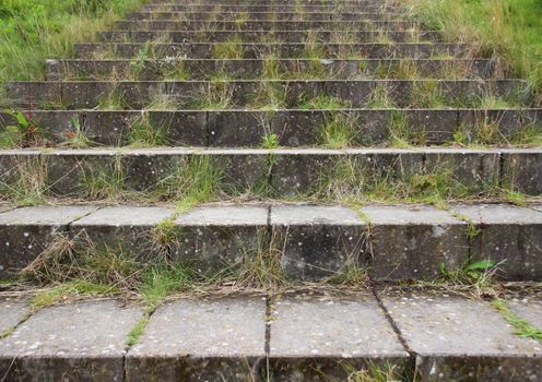 Concrete brick stair steps with green weed