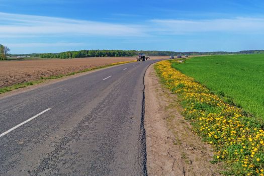 Along the road grow yellow dandelions.