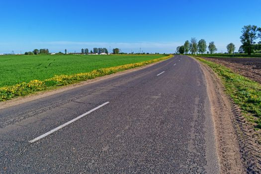 Along the road grow yellow dandelions.