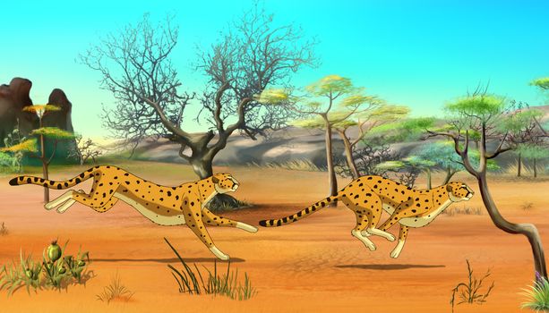Two Cheetahs hunting in the African savannah. Digital painting  cartoon style full color illustration.
