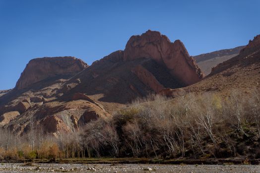 Travel destination and moroccan landmark - Dades Canyon, Atlas Mountains, Morocco