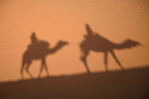 Camel shadows on Sahara Desert dunes, Erg Chebbi, Merozuga, Morocco