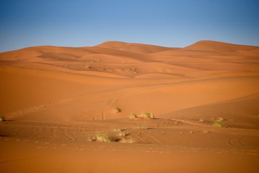 Sand dunes in the Sahara Desert, Erg Chebbi, Merzouga, Morocco