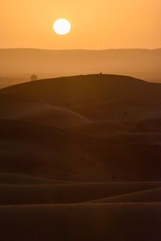 Sand dunes at sunset, Sahara Desert, Hassilabied, Morocco