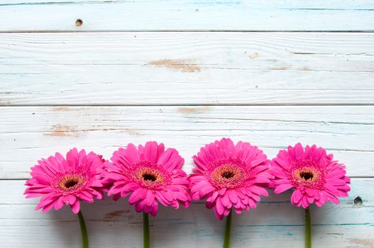 Pink daisies on a wooden backdrop with space 