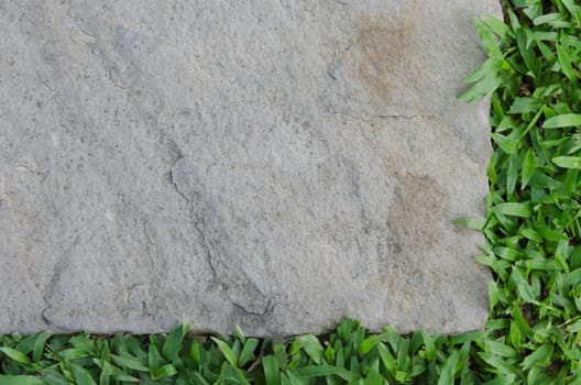 Top view of green grass with concrete floor