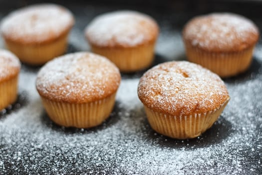 muffins in powdered sugar on a dark table