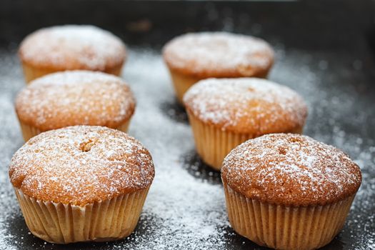muffins in powdered sugar on a dark table