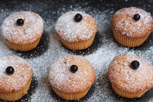 Muffins with black currant sprinkled with powdered sugar.