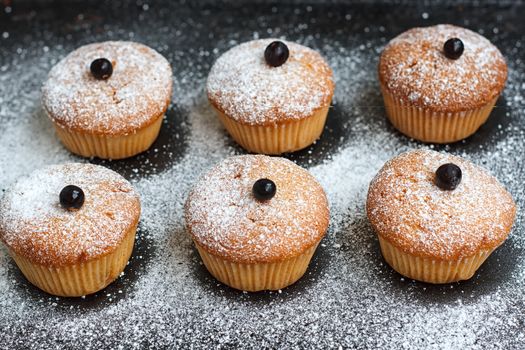Muffins with black currant sprinkled with powdered sugar.