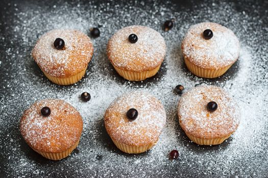 Muffins with black currant sprinkled with powdered sugar.