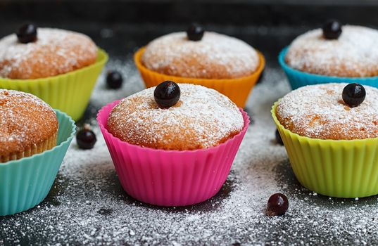 Muffins with black currant in silicone forms sprinkled with powdered sugar