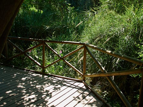 Beautiful small wooden bridge over a stream in a lush green forest