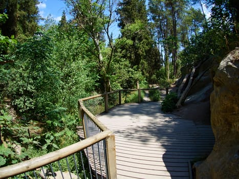 Beautiful small wooden bridge over a stream in a lush green forest