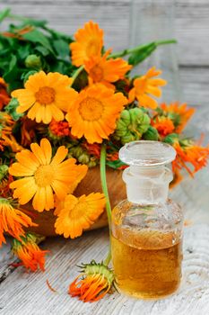 bottle of medicinal tincture of calendula flowers in folk recipe