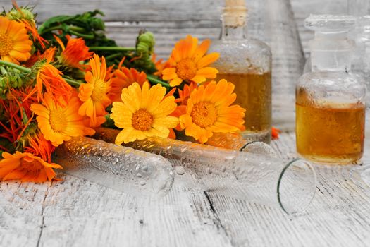 bottle of medicinal tincture of calendula flowers in folk recipe